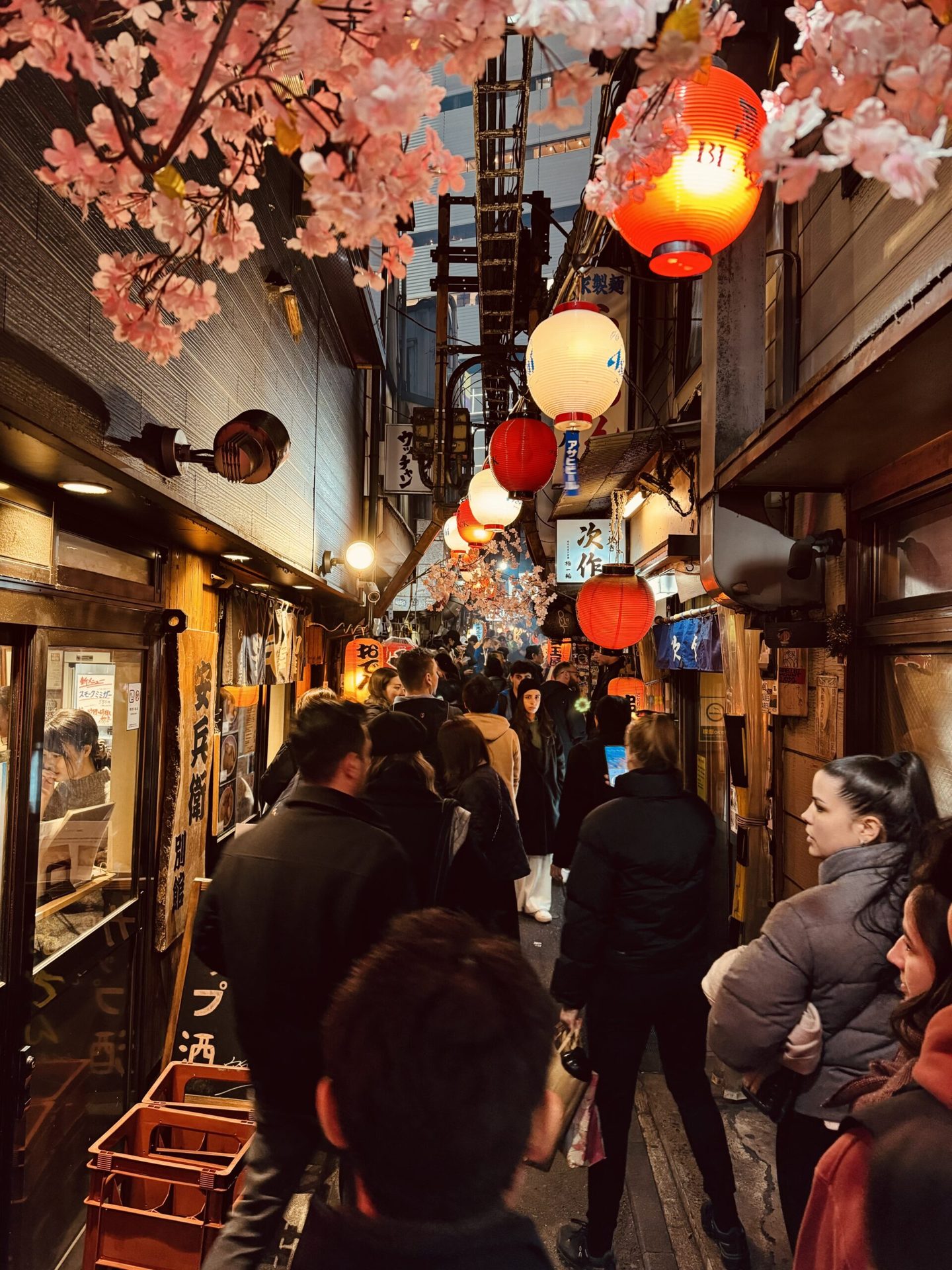Japán körutazás 8.