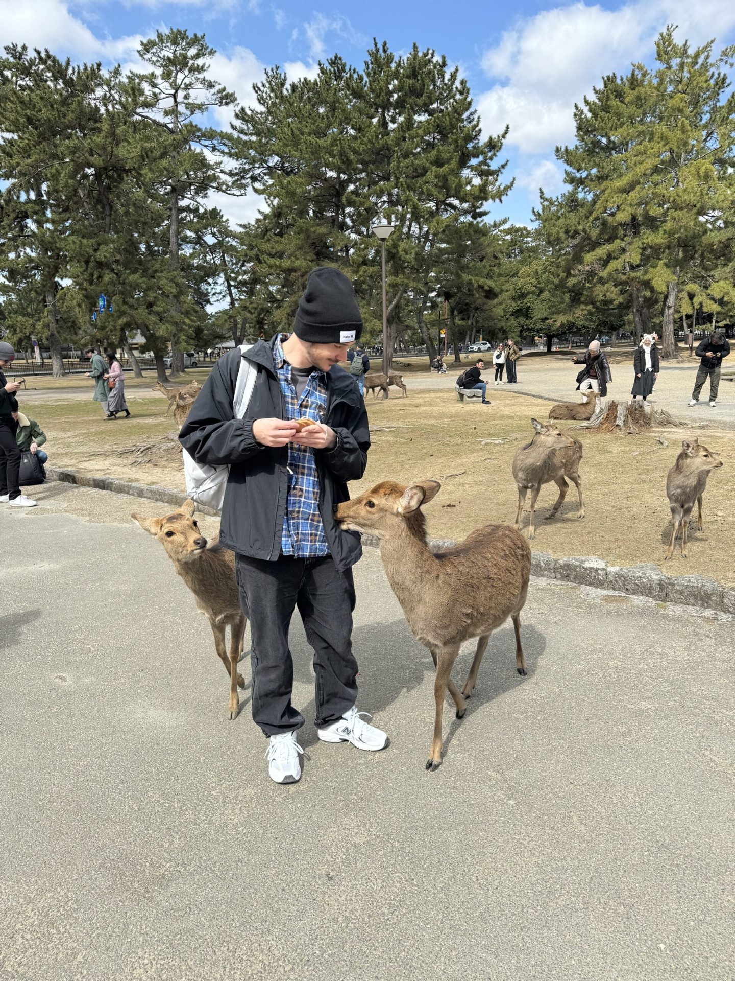 Japán körutazás 4.