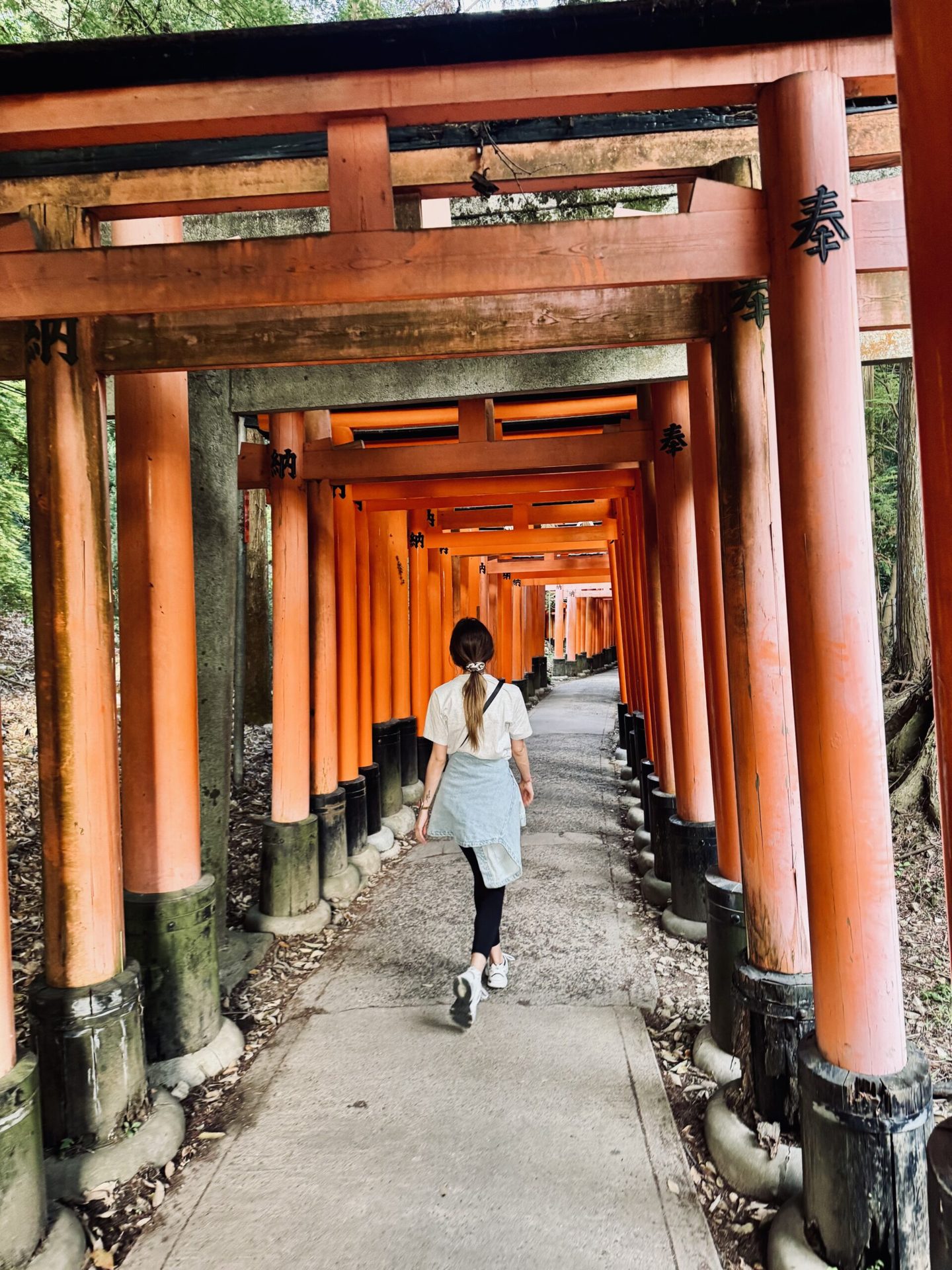 Japán körutazás 31.