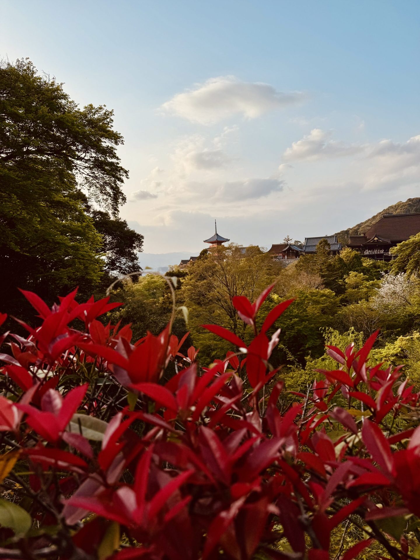 Japán körutazás 36.
