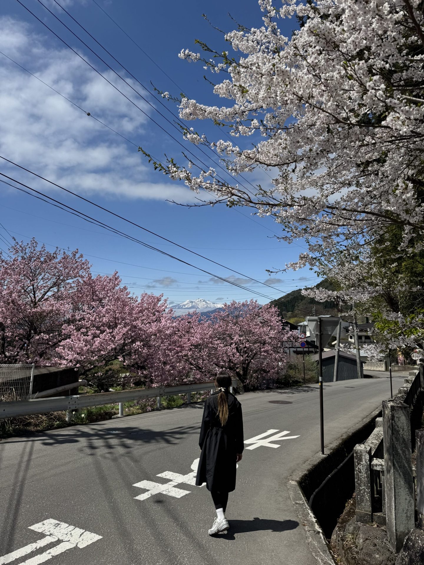 Japán körutazás 38.