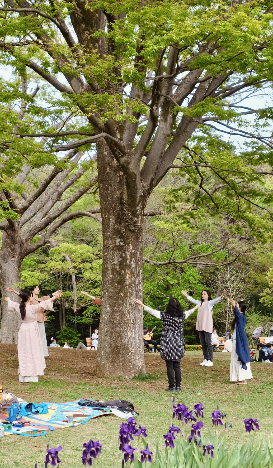 Japán körutazás 18.