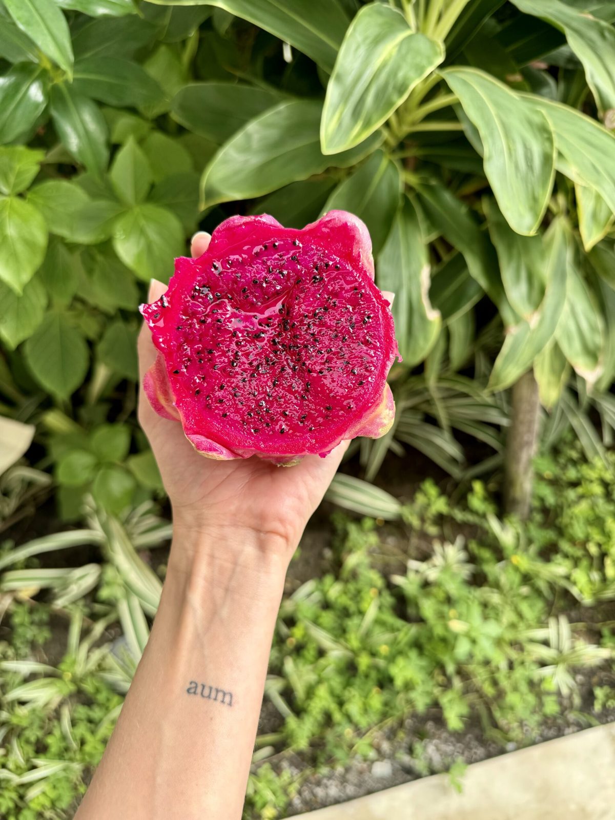 Bali – Dharmaral Adventure