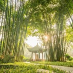 Wangjiang Pavilion Park（3）.jpeg