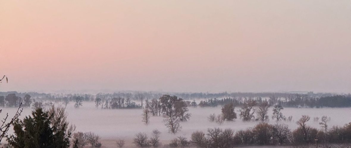 Processed with VSCO with wwf preset